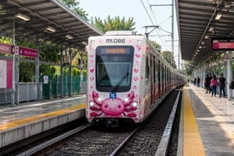 Así fue como el ajolote se convirtió en símbolo de CDMX