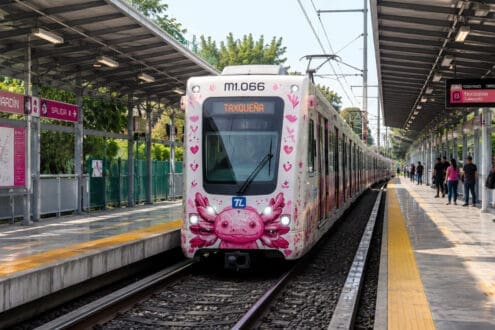 Así fue como el ajolote se convirtió en símbolo de CDMX