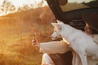Road trips con mascotas: lo que debes saber antes de salir a carretera