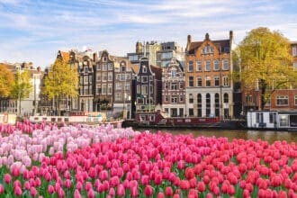 Todo lo que debes saber sobre los tulipanes en Países Bajos
