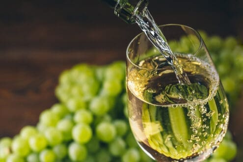 Uva chardonnay: por qué es considerada la reina de las uvas blancas