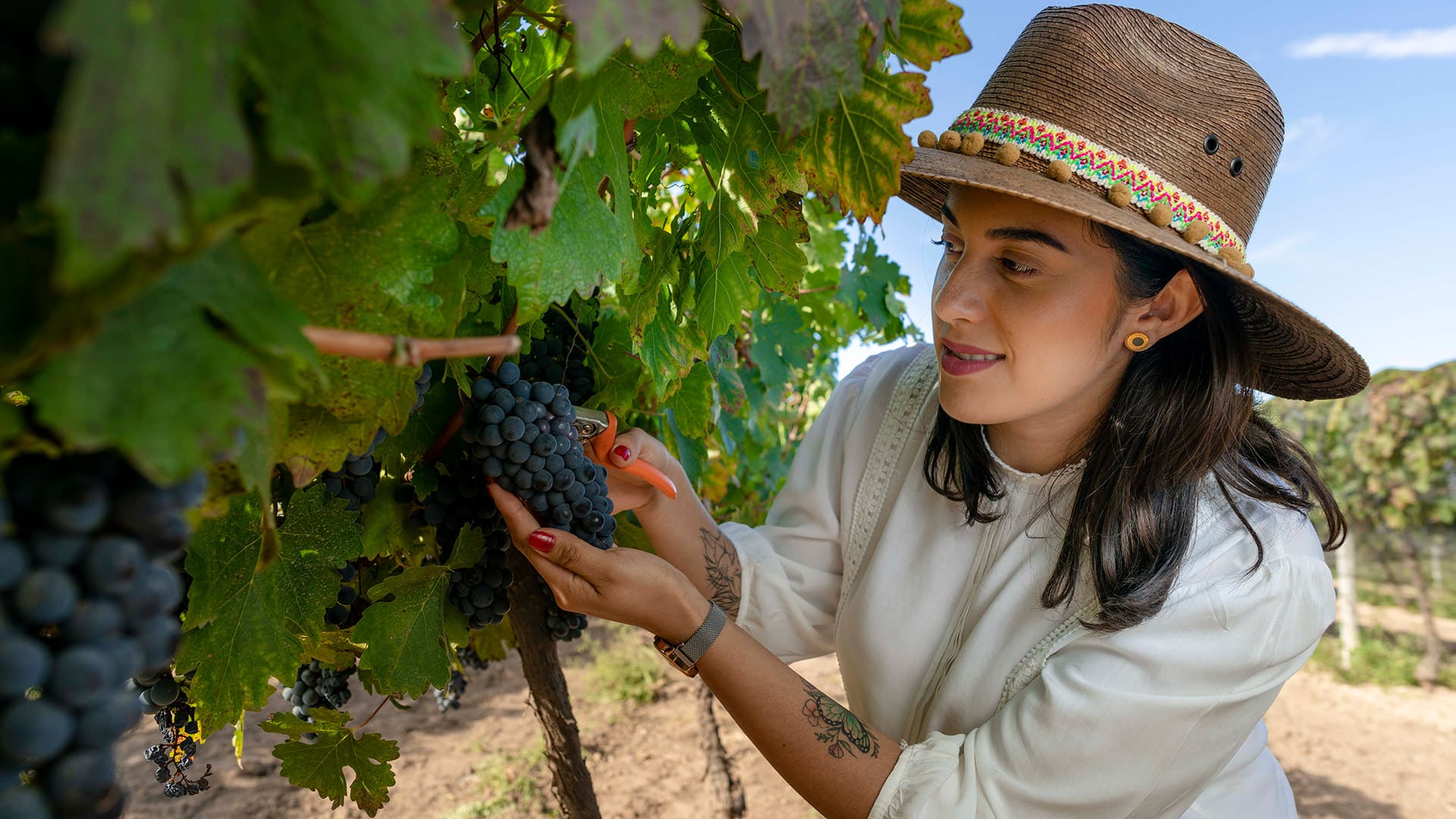 El hotspot favorito de los wine lovers.