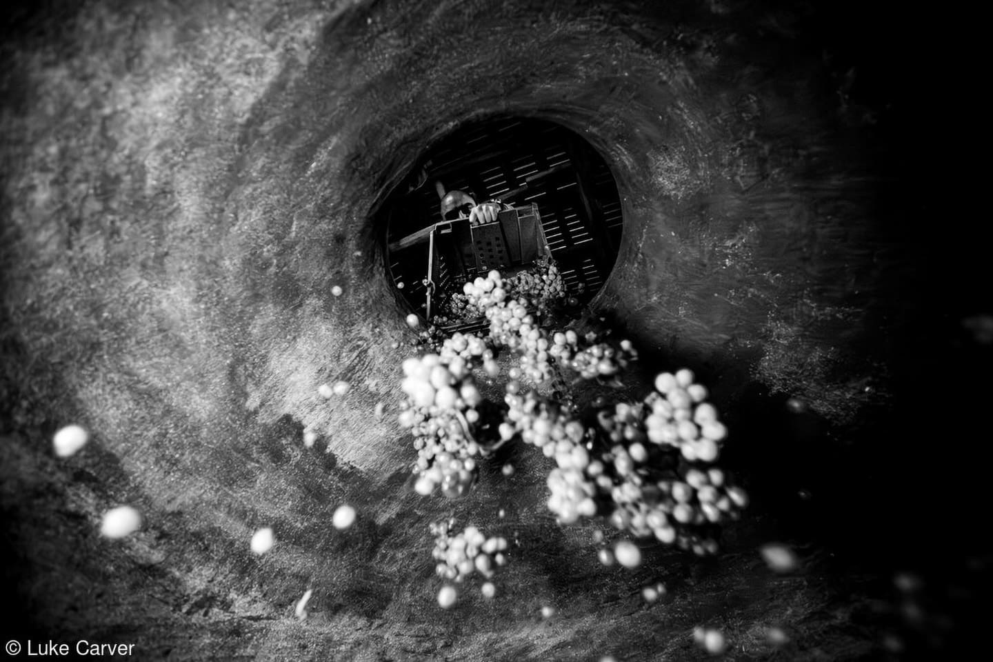 7_World_Food_Photo_Award_Luke_Carver World Food Photography Awards