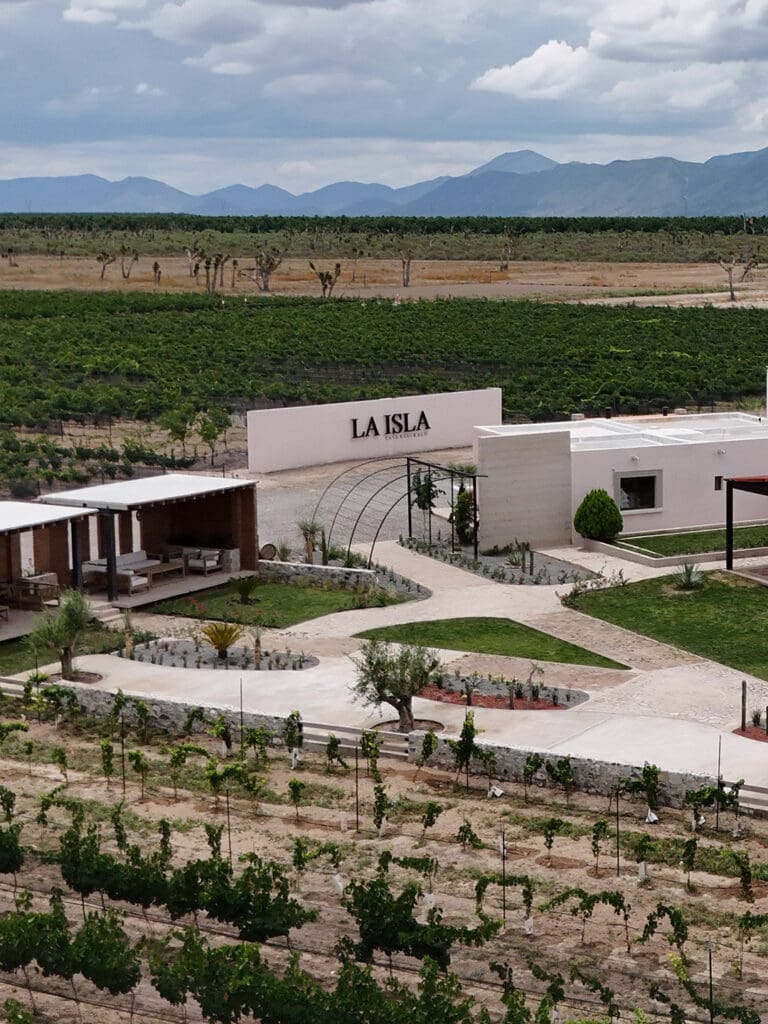 Casa Naufrago, viñedo en Parras