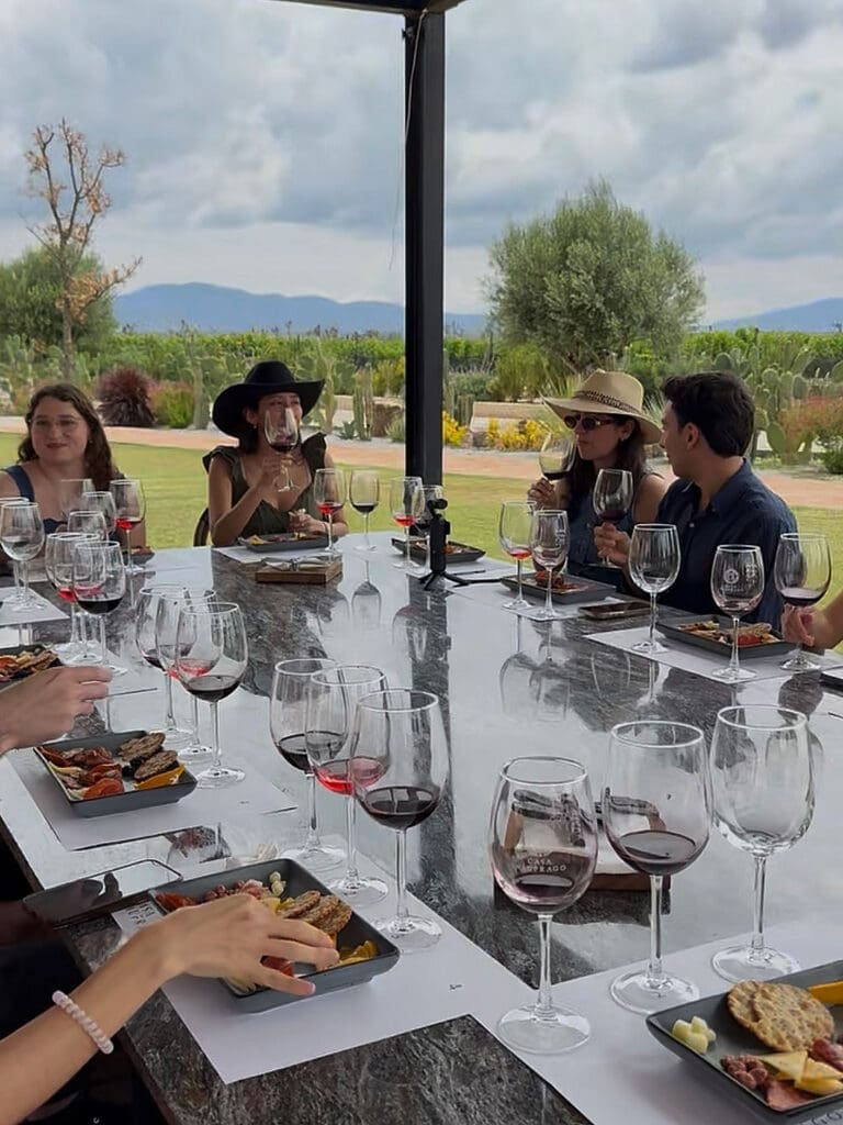 Casa Naufrago, viñedo en Parras