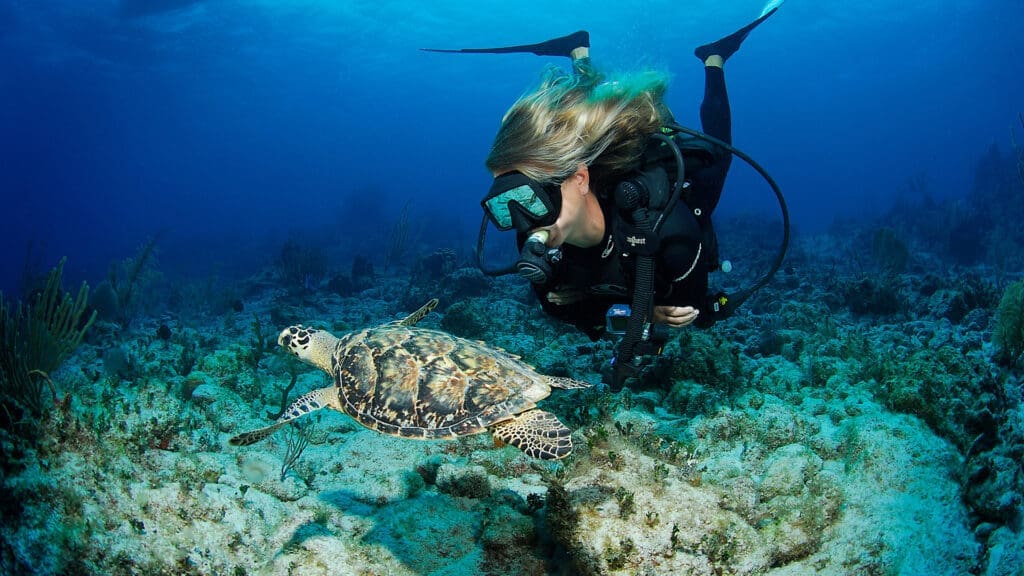 Islas Caimán: qué hacer en el destino de lujo que redefine el Caribe