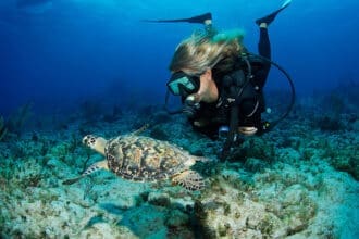 Islas Caimán: qué hacer en el destino de lujo que redefine el Caribe