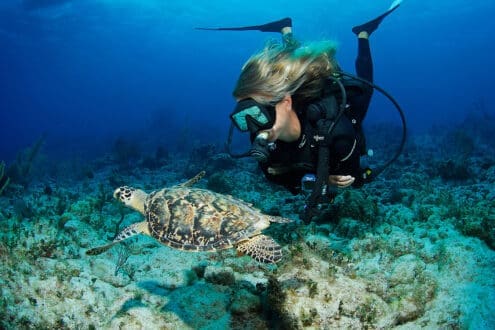 Islas Caimán: qué hacer en el destino de lujo que redefine el Caribe