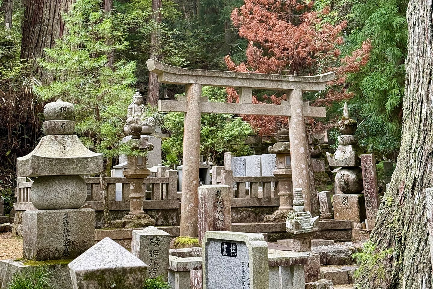 Japón_Koyasan_Cementerio_Okunoin_7