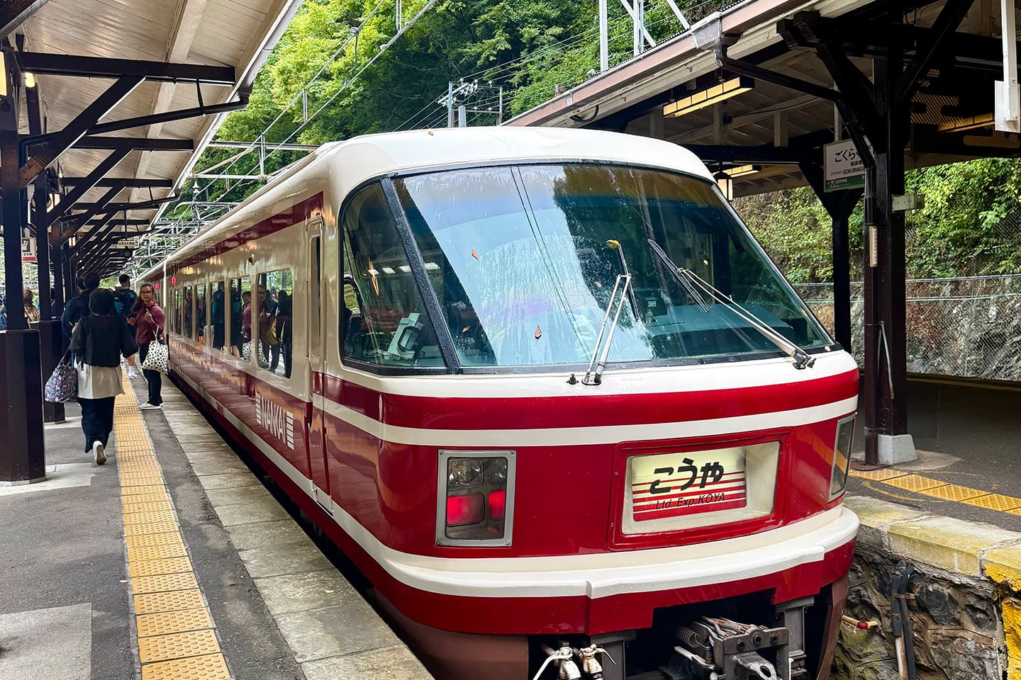 Japón_Koyasan_tren