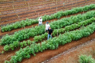 Fincas Slow Food: qué son y cuáles existen en México