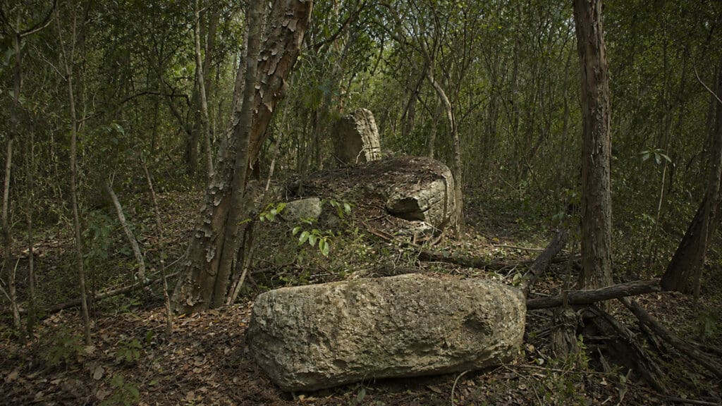 Minanbé: la ciudad maya que pasó mil años escondida en la selva de Campeche