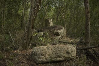Minanbé: la ciudad maya que pasó mil años escondida en la selva de Campeche