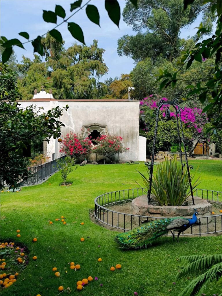 Los jardines de la antigua hacienda.
