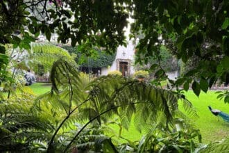 Museo Dolores Olmedo: lo que debes saber de su reapertura