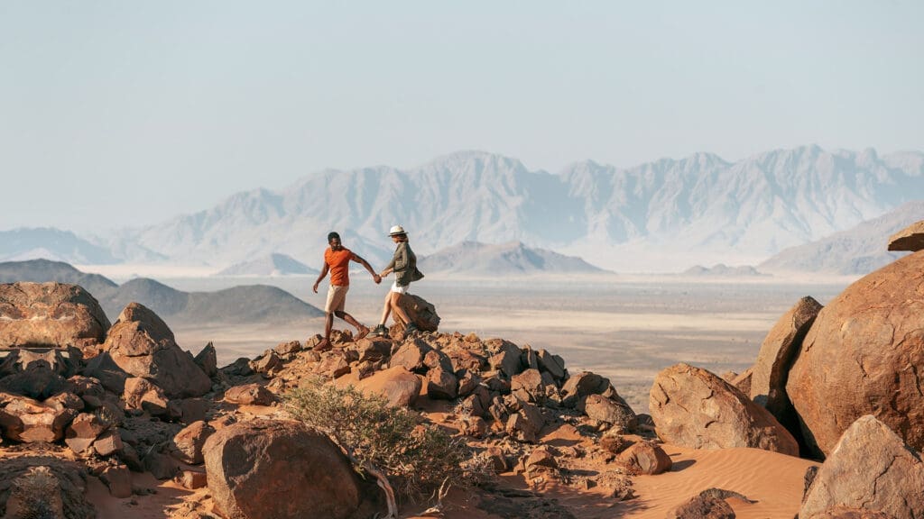 ¿Cómo luce un desierto cuando florece? Descúbrelo en Namibia, África