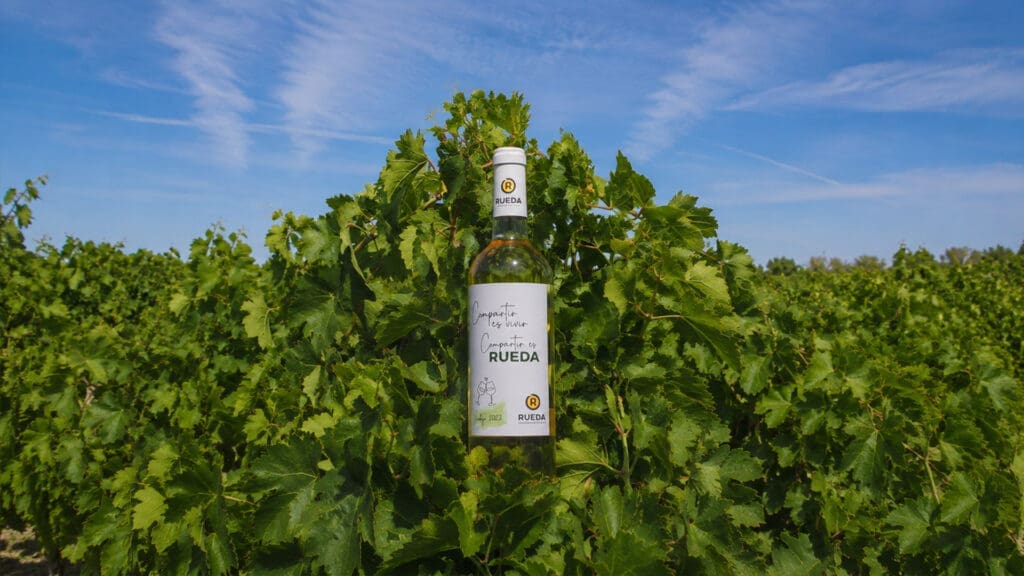 El viaje de la D.O. Rueda en el Caribe Mexicano: una historia de éxito de la uva verdejo