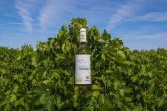 El viaje de la D.O. Rueda en el Caribe Mexicano: una historia de éxito de la uva verdejo