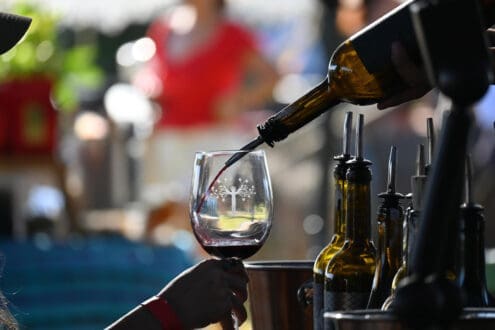 Los vinos de Guanajuato celebran su gran momento con vendimias y medallas