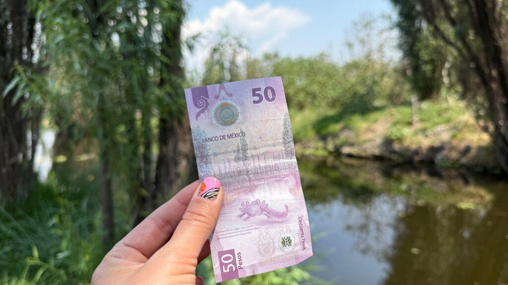 Los paisajes de los billetes mexicanos: conoce qué sitios son y dónde están