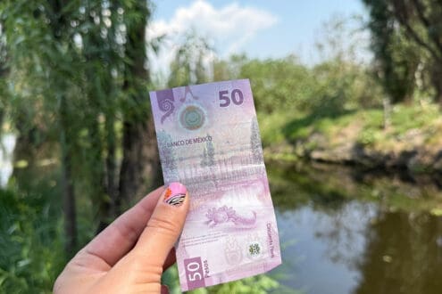 Los paisajes de los billetes mexicanos: conoce qué sitios son y dónde están