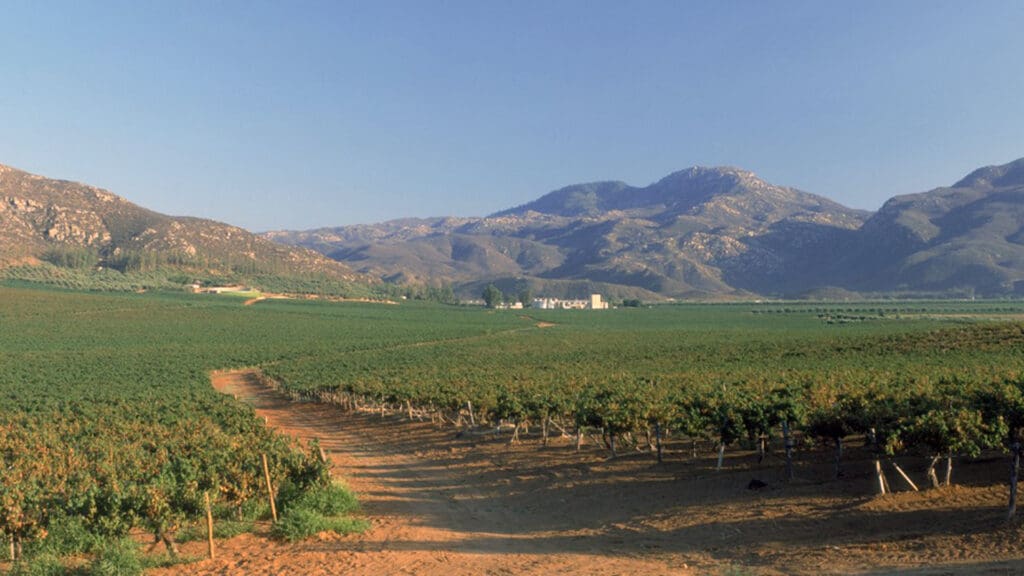 Bodegas Cetto: 98 años de historia y mil medallas internacionales