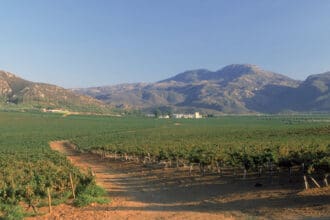 Bodegas Cetto: 98 años de historia y mil medallas internacionales