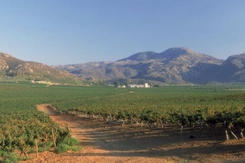 Bodegas Cetto: 98 años de historia y mil medallas internacionales