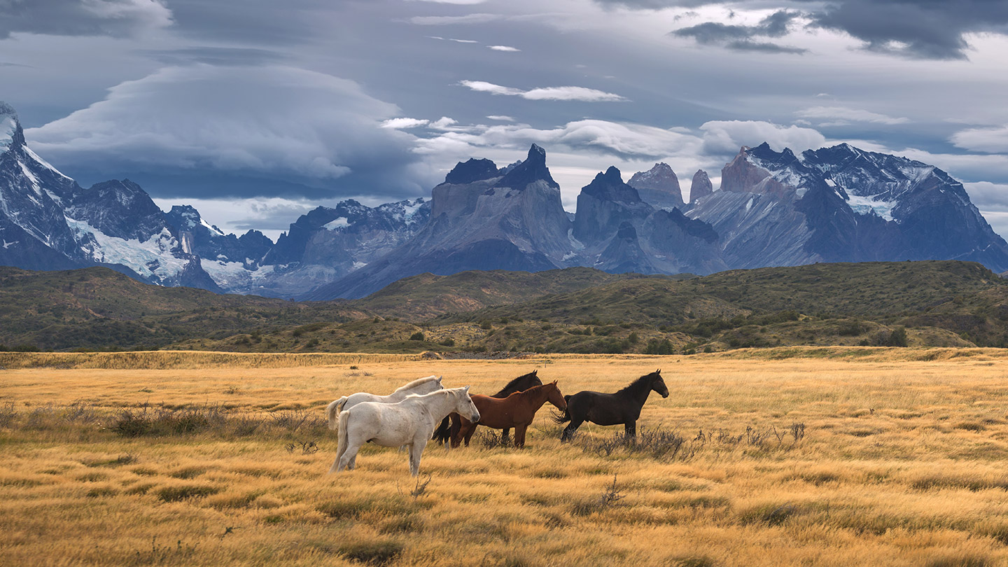 Patagonia.