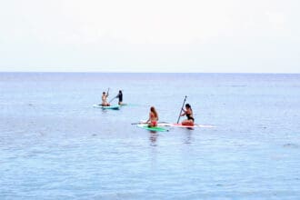 7 experiencias que nos dejó Cozumel Vivo Fest 2026: cultura, historia y cuidado del medio ambiente