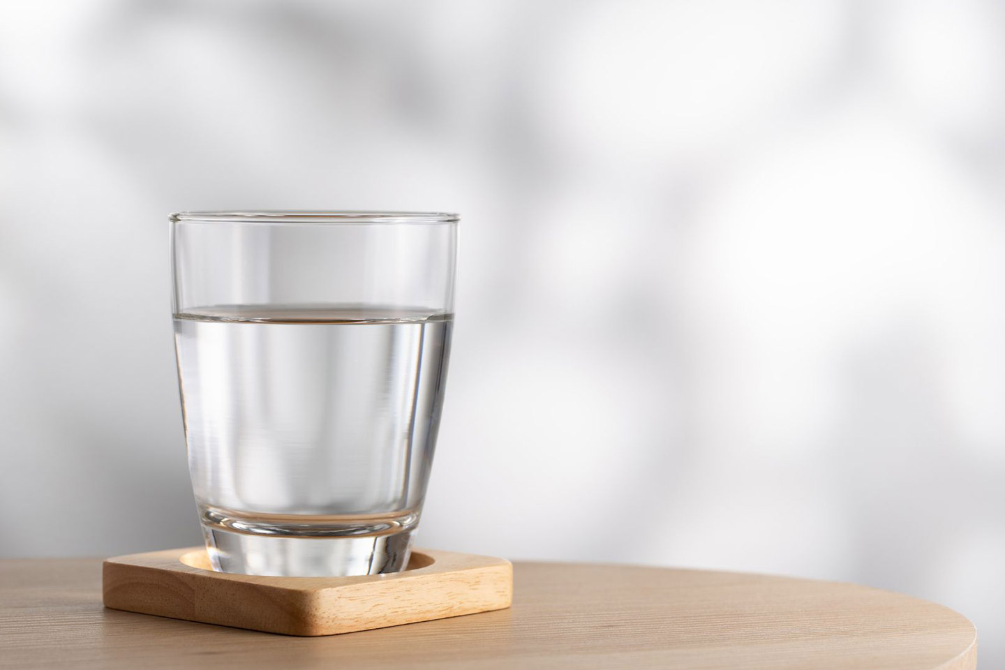 Sotol_1