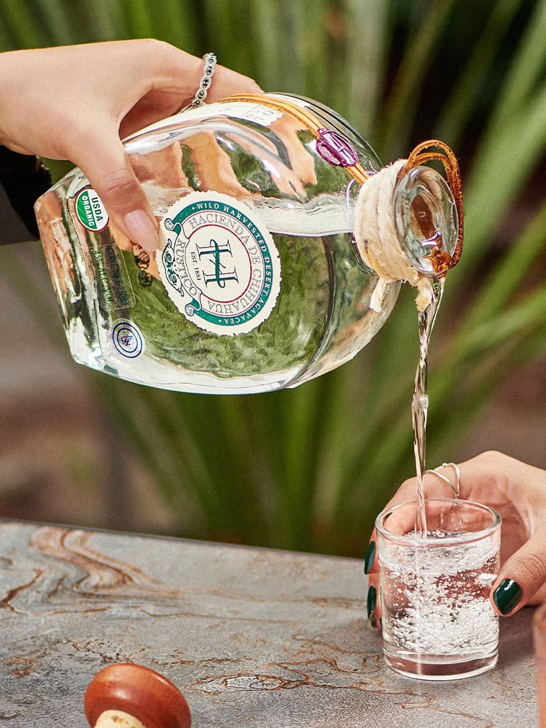 Sotol_5