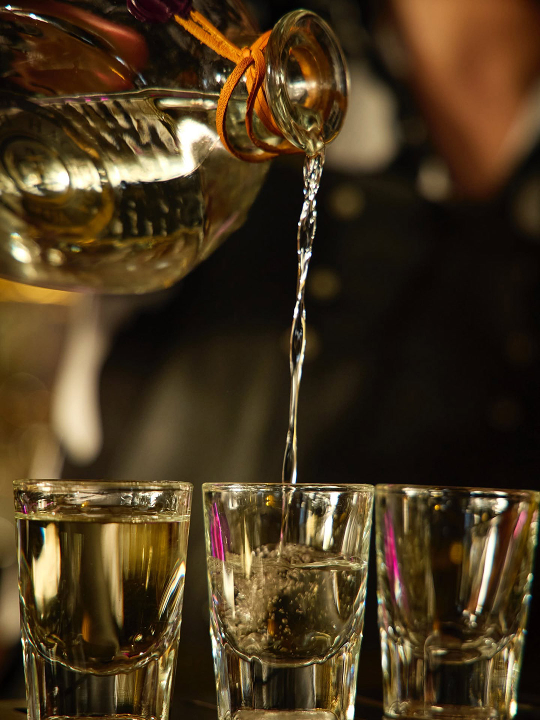 Sotol_6