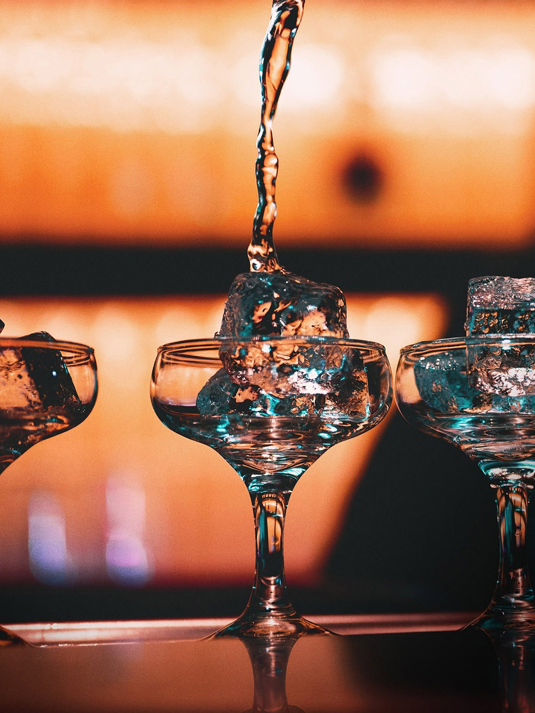 Sotol_7