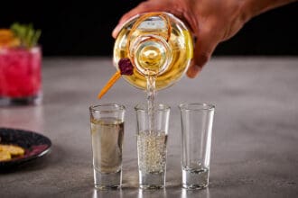 ¿Qué es el sotol? Te damos las claves para entender este destilado mexicano