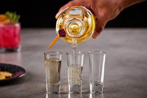 ¿Qué es el sotol? Te damos las claves para entender este destilado mexicano