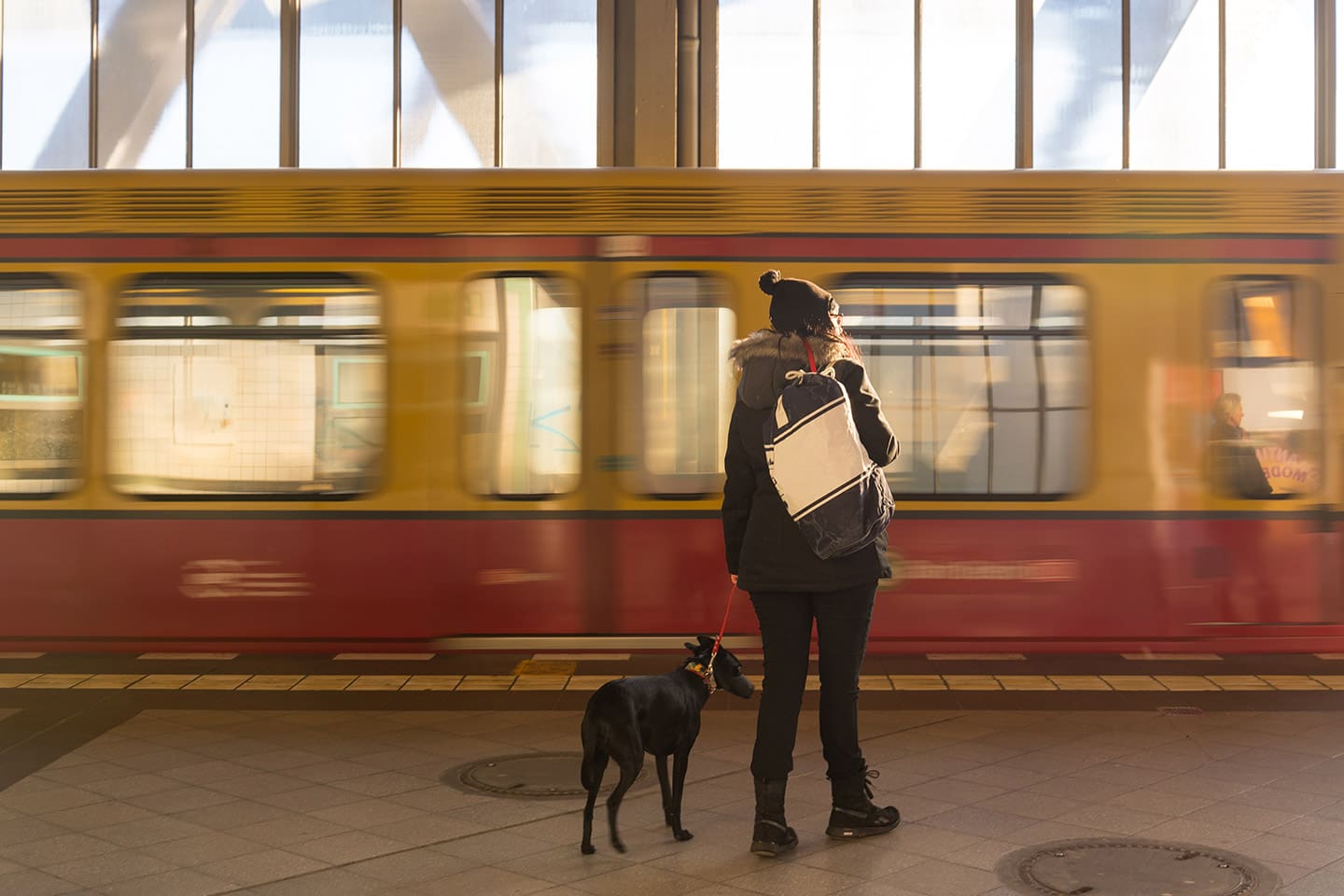 ciudades_petfriendly_Berlin