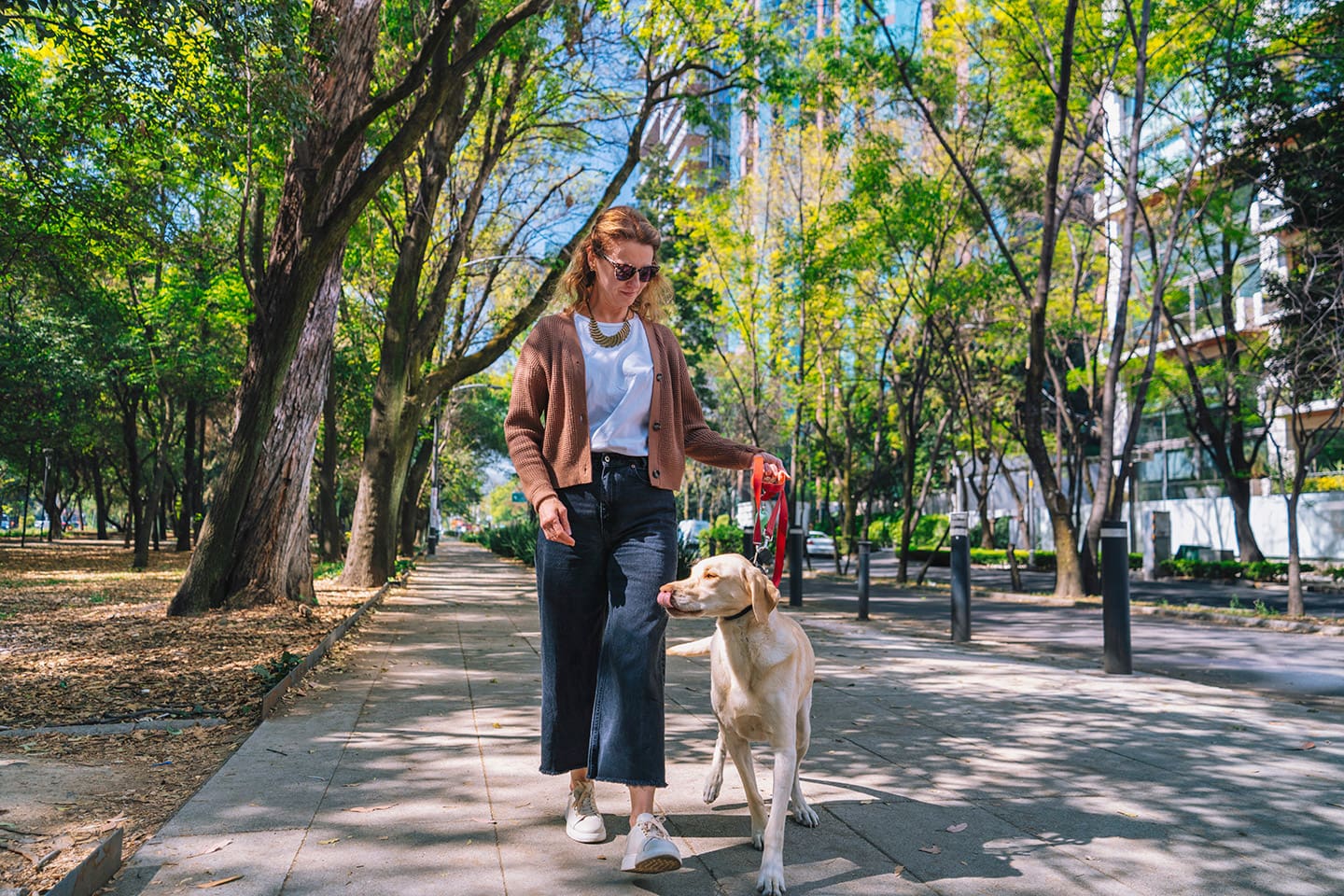 ciudades_petfriendly_CDMX