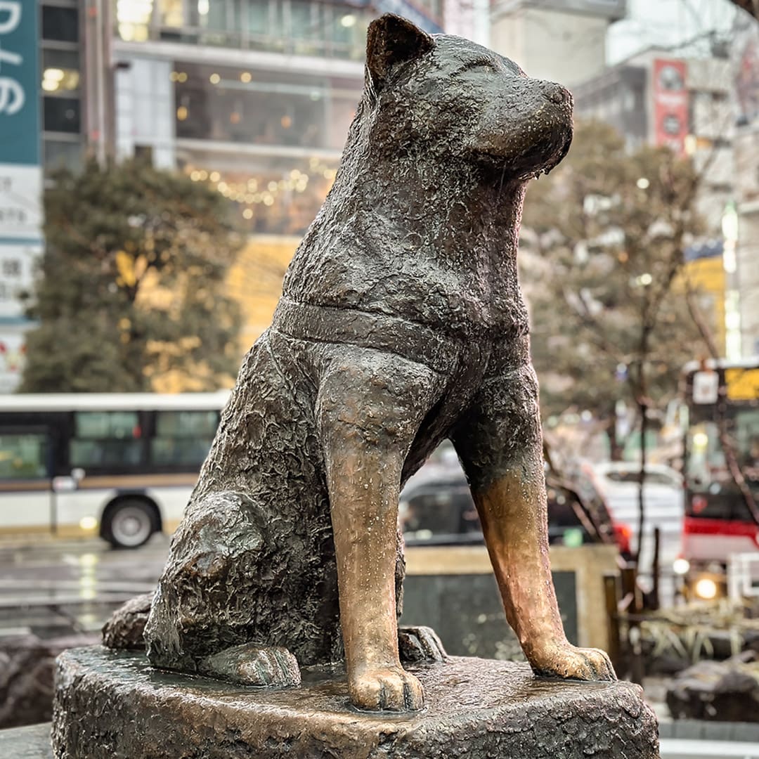 ciudades_petfriendly_Hachikō