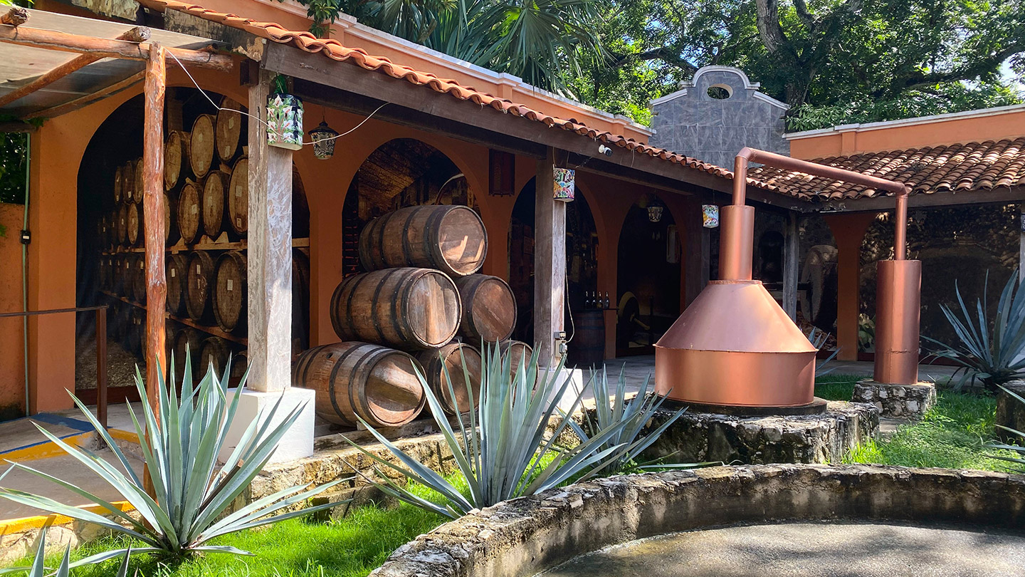 regiones_tequileras_4