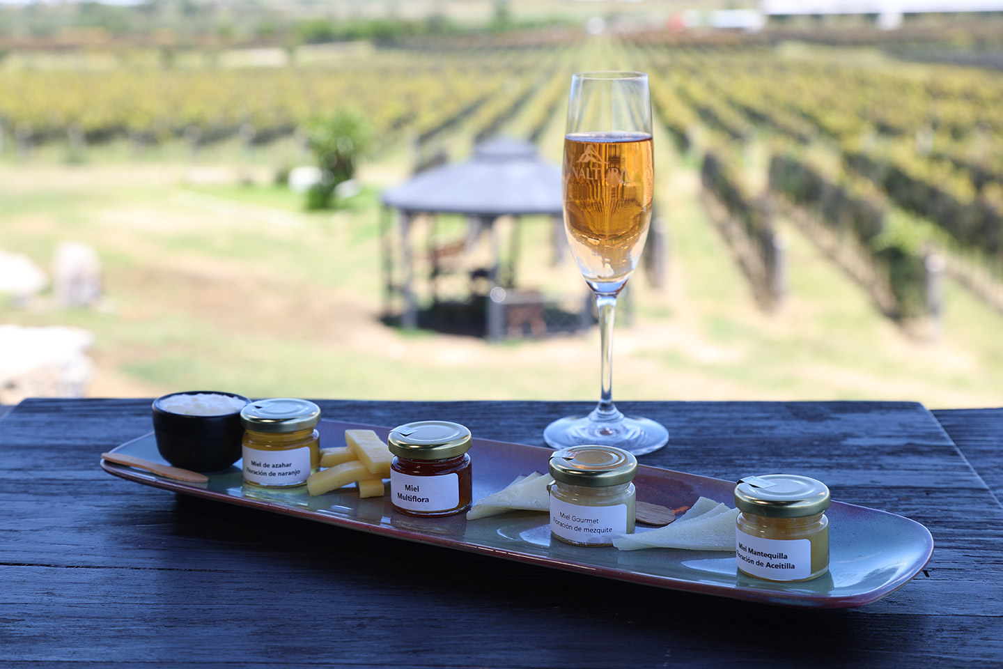 ruta_vino_Querétaro_26_Vinaltura_2