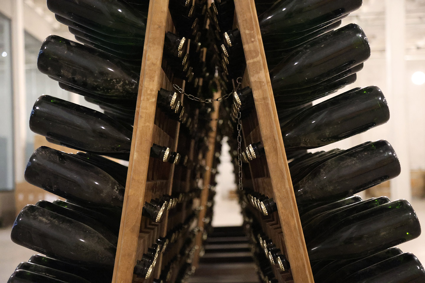 ruta_vino_Querétaro_26_Vinaltura_22