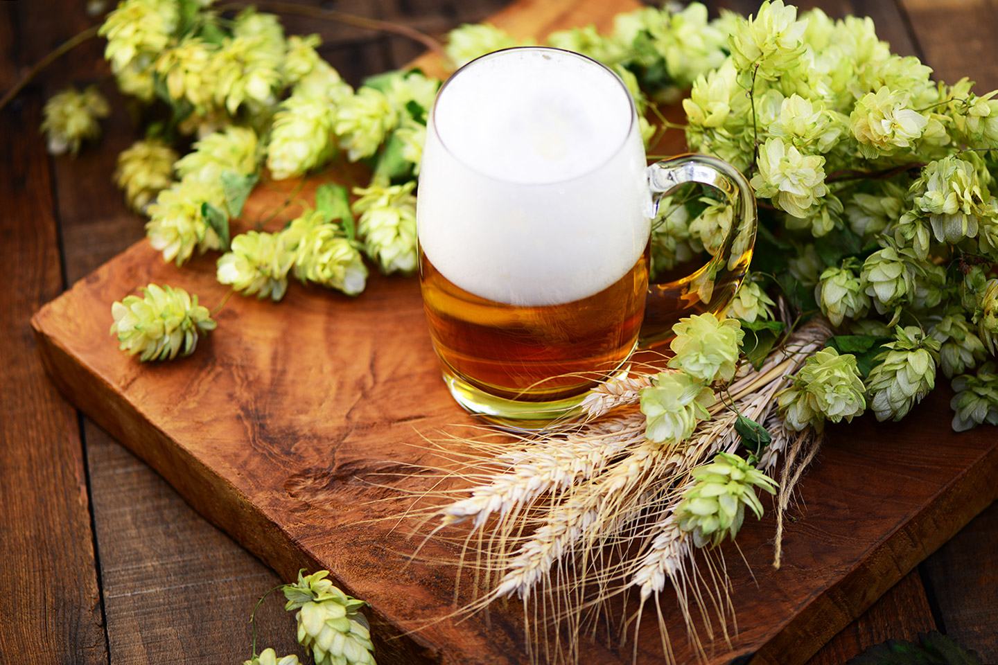 amante de la cerveza
