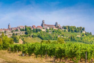Estas son las primeras bodegas reconocidas con Uvas Michelin
