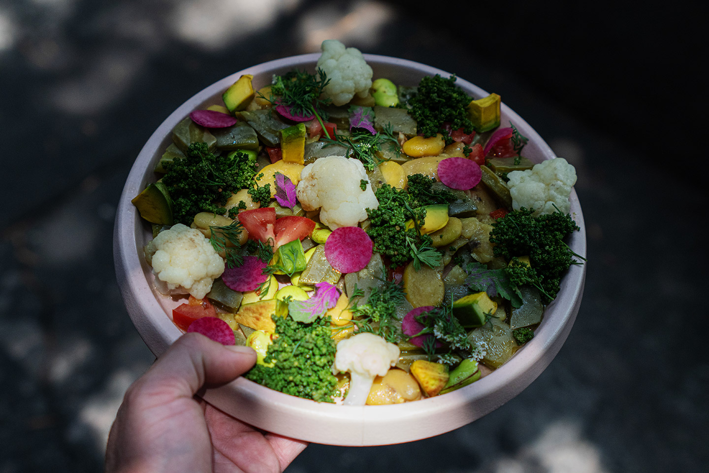 Mux_ensalada_de_nopal
