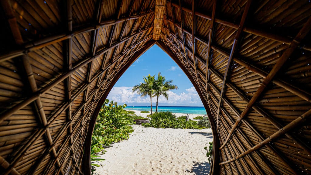 Soul Food Fest: prepárate para este festival wellness imperdible en Riviera Maya