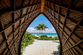 Soul Food Fest: prepárate para este festival wellness imperdible en Riviera Maya