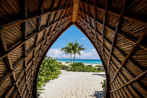 Soul Food Fest: prepárate para este festival wellness imperdible en Riviera Maya