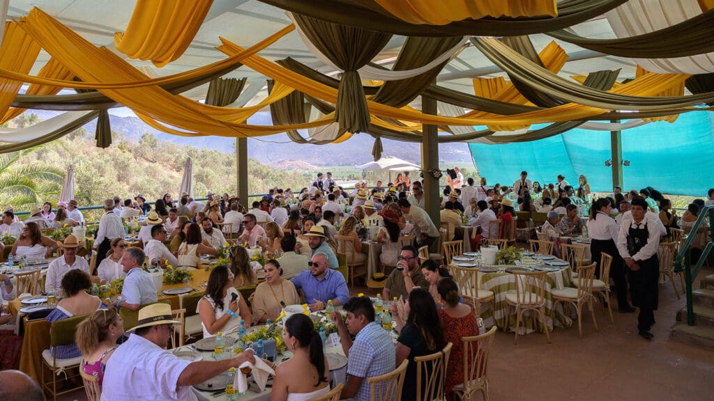 L.A. Cetto lanza una línea de vinos con uvas orgánicas. ¡Conócela!