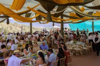 L.A. Cetto lanza una línea de vinos con uvas orgánicas, ¡conócela!
